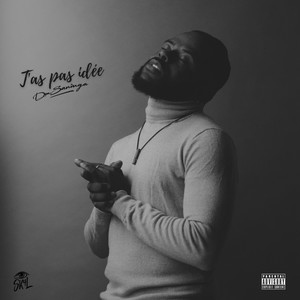 T'as pas idée(feat. Feston Music)