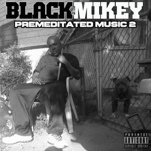 Premeditated Music 2 (Explicit)