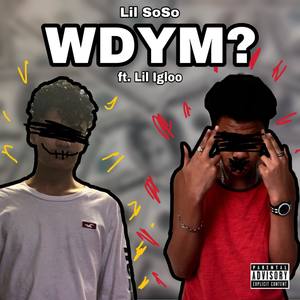 WDYM? (Explicit)