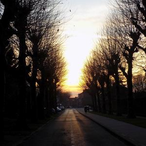 Twilight Melancholy Waltz