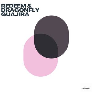 Guajira (Saliva Commandos Extended Remix)