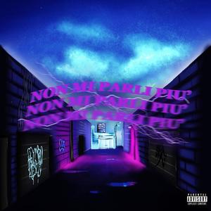 NON MI PARLI PIU'(feat. IlDime)