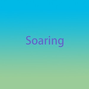 Soaring