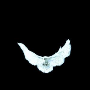 Perfect Mix (Explicit)