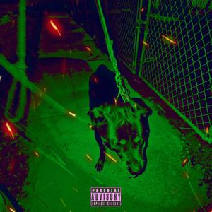 SatinRugz (Explicit)