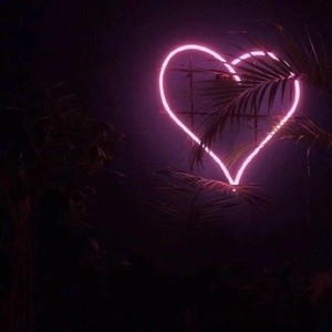 ❤&U(Birder Edit)