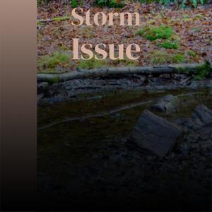 Storm Issue