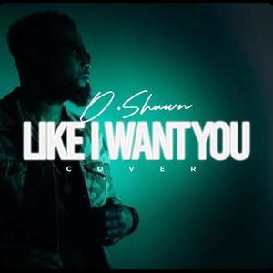 Like I Want You