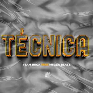 Técnica