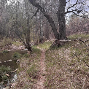 yurei - zombiegrl (Explicit)