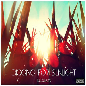 The Comedian (Explicit)