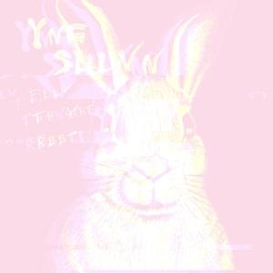Follow The White Rabbit (Explicit)