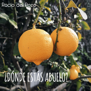 ¿Dónde estás abuelo?