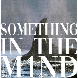 Something In The Mind (feat. Vxbrxnt, Correi Kamir & THUNDARI) (Explicit)