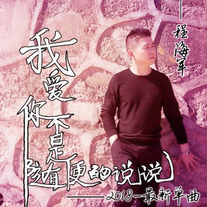 我爱你不是随便的说说