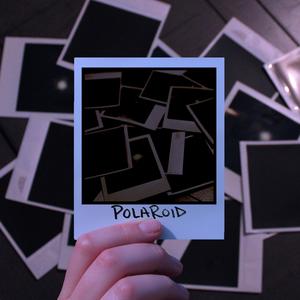 Polaroid