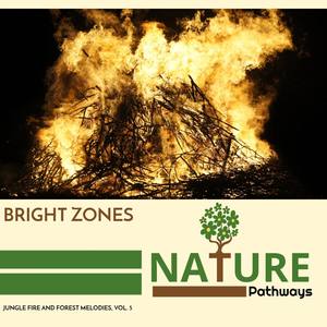 Bright Zones - Jungle Fire and Forest Melodies, Vol. 5