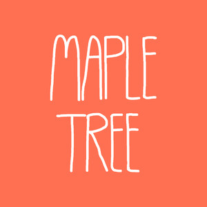 Maple Tree