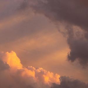 Everyone Is Everyone