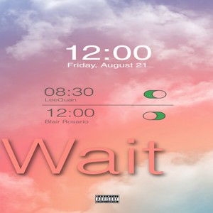 Wait (Explicit)