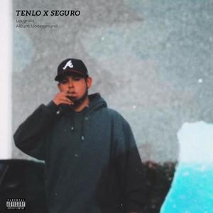 Tenlo x Seguro