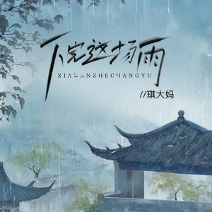 下完这场雨-琪大妈
