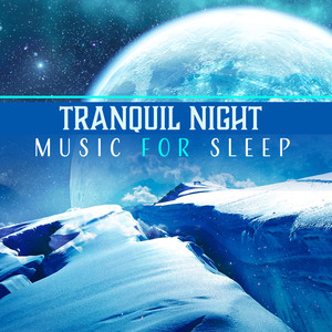Tranquil Night – Music for Sleep: Evening Session, Dream Ambient, Soothing Relax, Ease Fall Asleep, Lullabies for Adults
