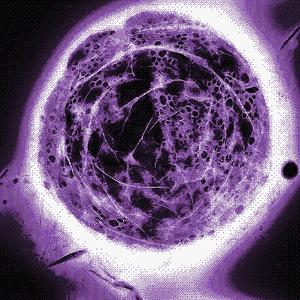 h2O! (feat. Luclover) (Explicit)