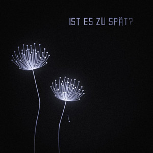 Ist es zu spät? (Explicit)