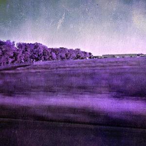 who's deetie? (feat. Gobo)