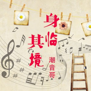 热播Try (DJ潮音哥版)封面