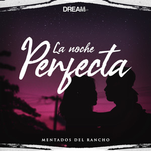 La Noche Perfecta