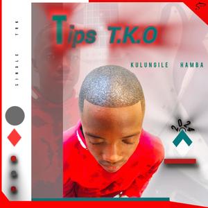 Kulungile Hamba (feat. Tips T. K.O)