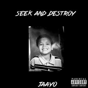 Seek and destroy (Explicit)