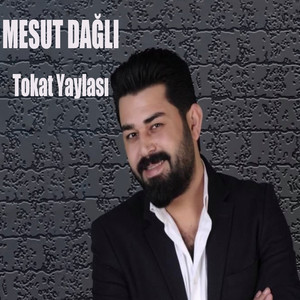 Tokat Yaylası