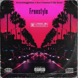 Freestyle (feat. Roy Commaz & Sly Stezz) [Explicit]