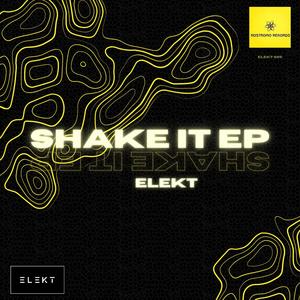 Shake It EP