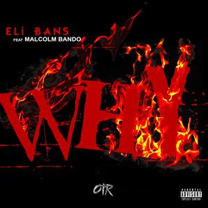 Why(feat. Malcolm Bando) (Explicit)