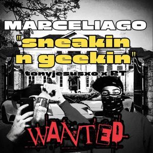 sneakin n geekin (feat. RT) (Explicit)