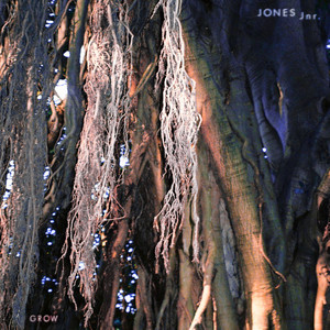 Wouldn't Do That (Explicit)