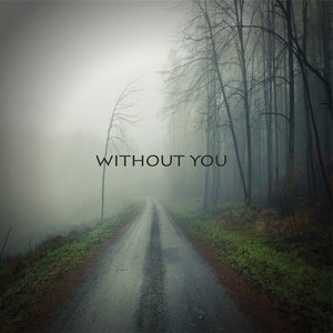 Without You