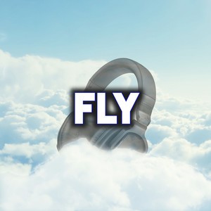 Fly