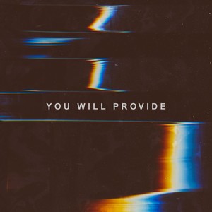 You Will Provide (feat. Jason White)