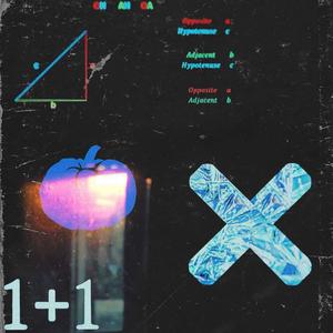 1+1(feat. Jaguar, Bus, Lion, Mirror, Gecko, Lizard, Oak, Marvel, JO$H-N & Fish) (NUCLE BRAWNSHIEN Remix)