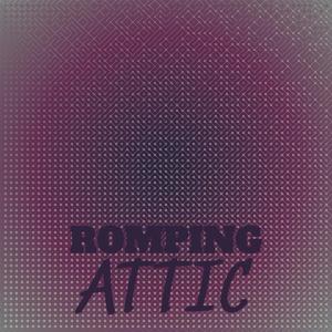 Romping Attic