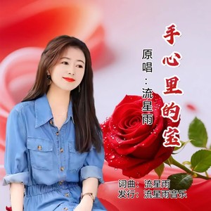 手心里的宝 (女版伴奏)