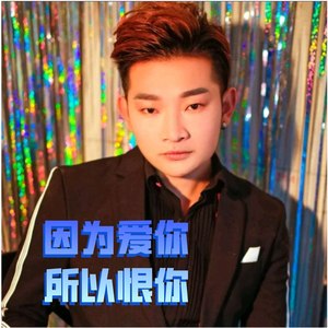 因为爱你 所以恨你 - DJ