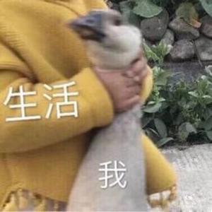 问题不大