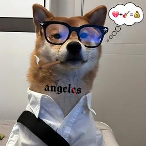 PARECE UN FESTIVAL (Explicit)