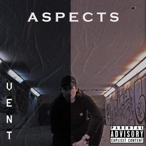 Aspects (Explicit)